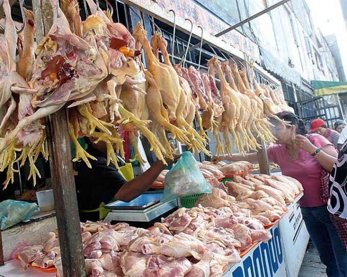 Precio del pollo se mantiene y tiende a normalizarse