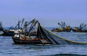 Desembarques pesqueros crecieron más de 135% en enero 2023