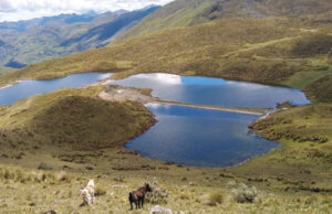 Apurímac: iniciarán actividades de siembre y cosecha para beneficio de mil familias Apurímac: iniciarán actividades de siembre y cosecha para beneficio de mil familias