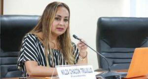 Lanzan bomba molotov a vivienda de congresista fujimorista Nilza Chacón