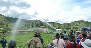 Puno: envían primer convoy Con Punche para impulsar economía de la región