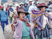 La élite le teme a la democracia La élite le teme a la democracia