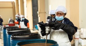 Pescadores implementan la pesca resiliente y el turismo sostenible frente al cambio climático