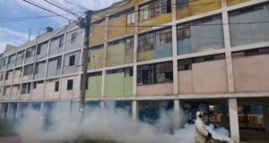 Minsa declara en emergencia 226 distritos de 20 regiones por brote de dengue