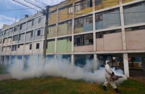 Minsa declara en emergencia 226 distritos de 20 regiones por brote de dengue