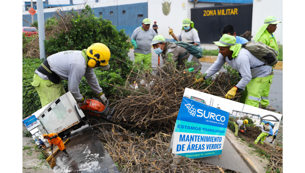 Surco: municipio combate plaga de roedores en zona del mercado Jorge Chávez
