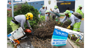 Surco: municipio combate plaga de roedores en zona del mercado Jorge Chávez