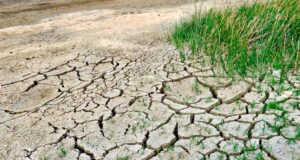 Gobierno evalúa emitir declaratoria de emergencia por peligro de posible sequía a nivel nacional(VIDEO)