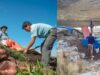 Obras de siembra y cosecha de agua benefician a las regiones de Apurímac, Ayacucho, Huancavelica y Cusco