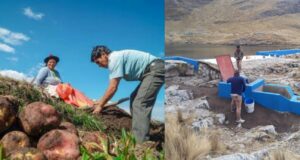 Obras de siembra y cosecha de agua benefician a las regiones de Apurímac, Ayacucho, Huancavelica y Cusco