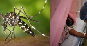 Minsa: 104,000 casos de dengue en el Perú y 5 medidas para frenar su avance