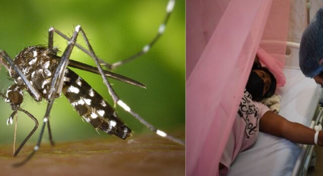 Minsa: 104,000 casos de dengue en el Perú y 5 medidas para frenar su avance