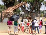 Feriado largo del 29 de junio al 2 de julio: por qué la pausa en el calendario