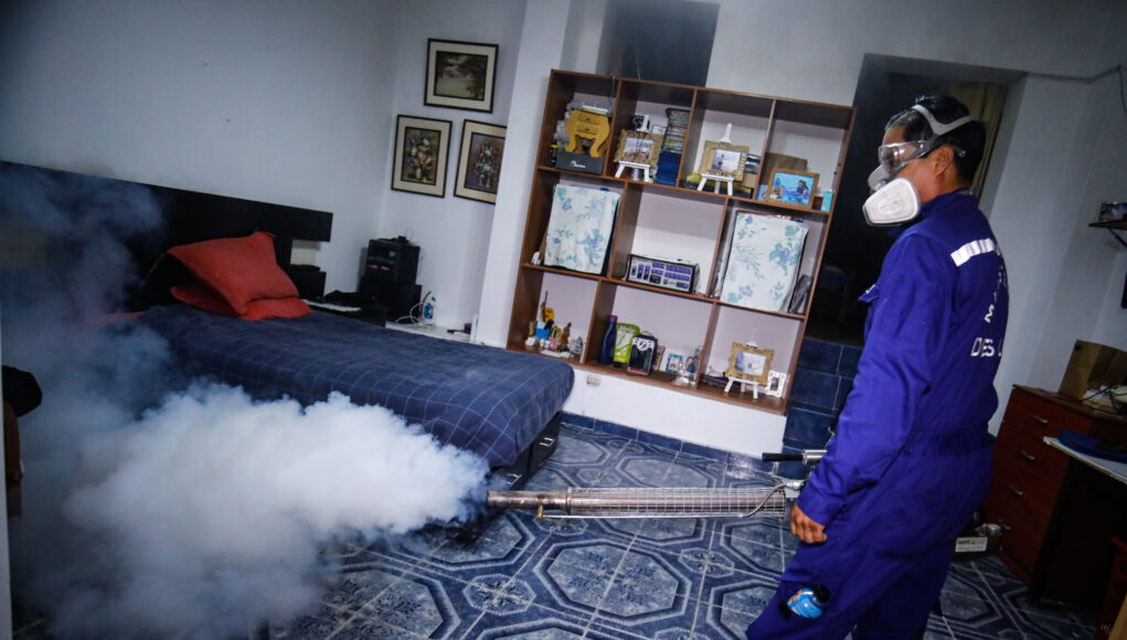 Lucha frontal contra el dengue en Chorrillos