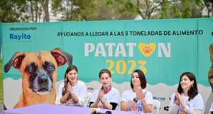 El Parque de la Exposición abre sus puertas al «Patatón 2023» este domingo 02 de julio