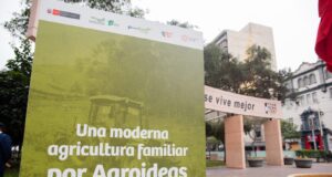 MIDAGRI presenta casos de éxito en emprendimientos agrarios a nivel nacional