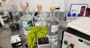 Desarrollo y Validación: Investigación en la calidad de Exportación del Pisco