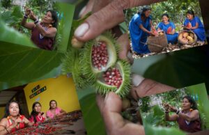 Agroideas- Midagri ofrece cofinanciar planes con un presupuesto superior a los S/28 millones