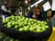 Crisis del limón: precio se dispara un kilo a 20 soles y en Chiclayo llega hasta 60 soles