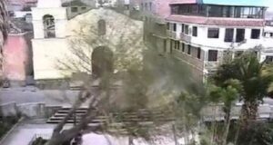 Ayacucho: se cae árbol que casi termina con la vida de tres niñas (VIDEO)