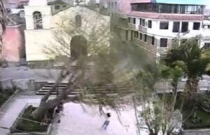 Ayacucho: se cae árbol que casi termina con la vida de tres niñas (VIDEO)