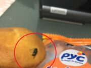 Cajamarca: estudiante halla mosca en paquete de kekito PYC Bimbo