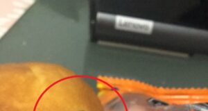 Cajamarca: estudiante halla mosca en paquete de kekito PYC Bimbo