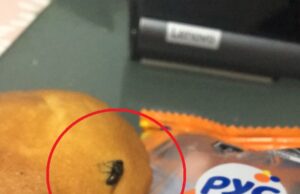 Cajamarca: estudiante halla mosca en paquete de kekito PYC Bimbo