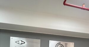 ‘Cholita Lu’: popular estrella del TikTok forma parte productora de cine y televisión Sinargollas