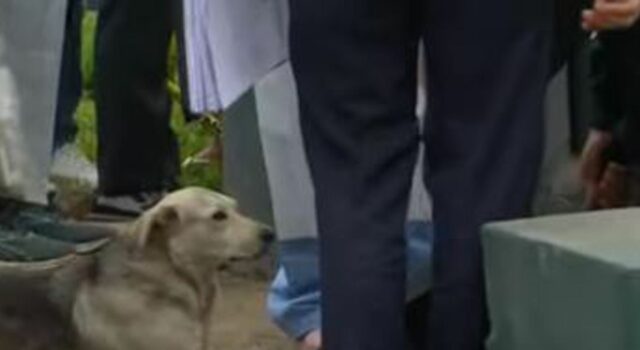 Hombre muere al caer a pozo y mascota se resiste a alejarse durante rescate(VIDEO)