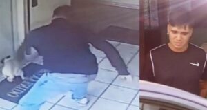 Nuevo caso de maltrato animal: sujeto fue detenido por golpear a su perro en Breña