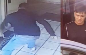 Nuevo caso de maltrato animal: sujeto fue detenido por golpear a su perro en Breña