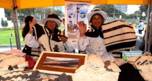 Fibra de Vicuña de la Región Junín a la Conquista del Mercado Nacional e Internacional con Prendas de Altísima Calidad