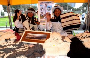 Fibra de Vicuña de la Región Junín a la Conquista del Mercado Nacional e Internacional con Prendas de Altísima Calidad