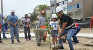 Alcalde Hernán Sifuentes inspeciona y siembra árboles en dos parques de SMP