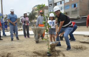 Alcalde Hernán Sifuentes inspeciona y siembra árboles en dos parques de SMP