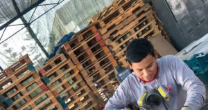 Promueven mejores condiciones educativas a a través del reciclaje