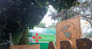 Feria Internacional Perúflora 2023 en Miraflores: Celebrando la Belleza de la Naturaleza