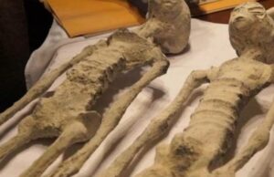 Las ‘momias de Nazca’: Anthony Choy tilda de «asqueroso fraude» farsa elaborada con huesos de animales, pegamento y papel