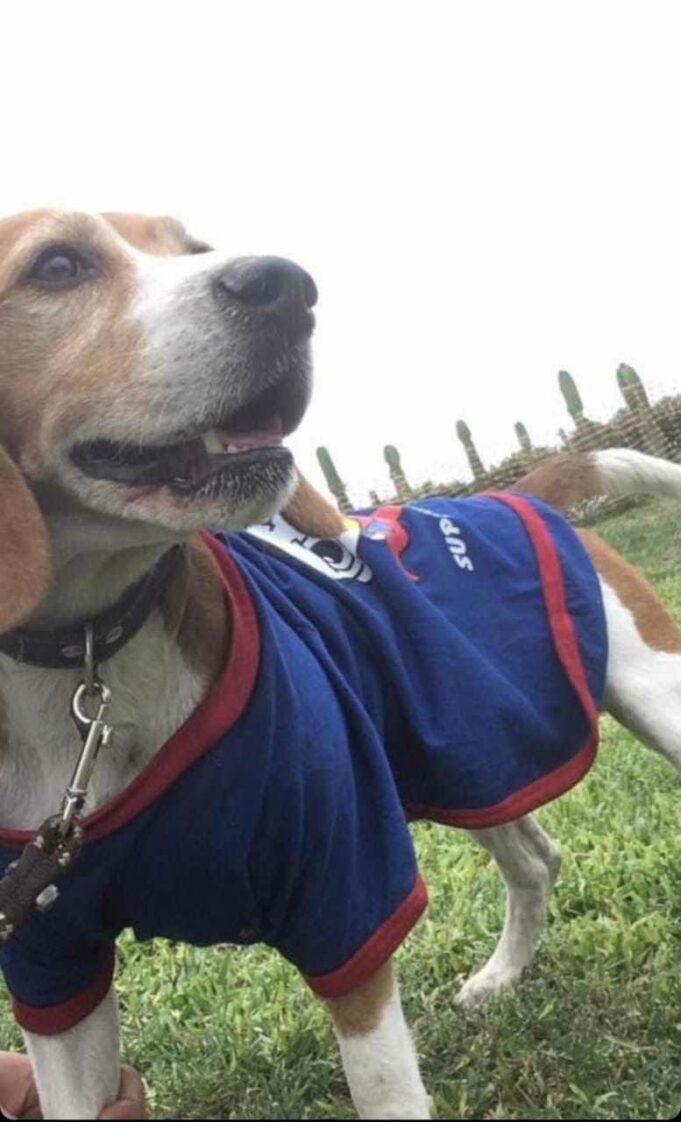 La Primera Veterinaria Municipal de Barranco es una realidad