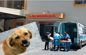 Rabia humana en Arequipa: Paciente diagnosticada ingresa a la UCI por complicaciones