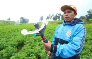 Son acciones de Agroideas en las regiones del sur para contrarrestar los efectos del Niño