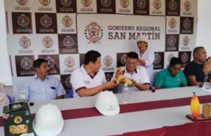 Panetones de pasta de cacao, emprendimiento navideño de una madre amazónica