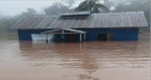 Loreto: desborde del río Pisqui deja 59 viviendas inhabitables en el distrito de Contamana