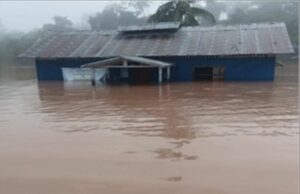 Loreto: desborde del río Pisqui deja 59 viviendas inhabitables en el distrito de Contamana