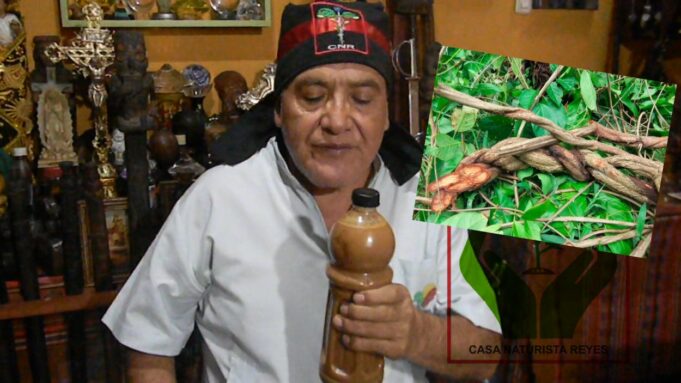 Naturista, Jacobo Reyes: «La sagrada Ayahuasca no debe tomarse solo por experimentar una ceremonia ritual o sensaciones de euforia»(VIDEO)