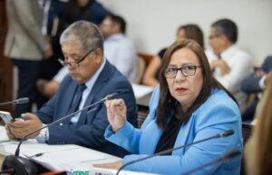Exministra Nelly Paredes del Castillo es la nueva jefa del Gabinete de Técnico de la PCM