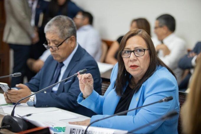 Exministra Nelly Paredes del Castillo es la nueva jefa del Gabinete de Técnico de la PCM