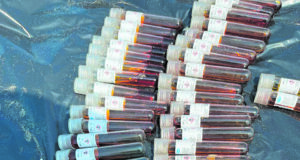 Amoniaco y residuos hospitalarios en playas