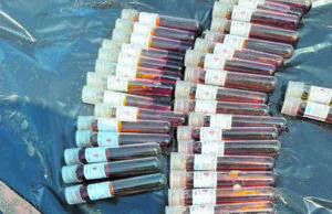 Amoniaco y residuos hospitalarios en playas